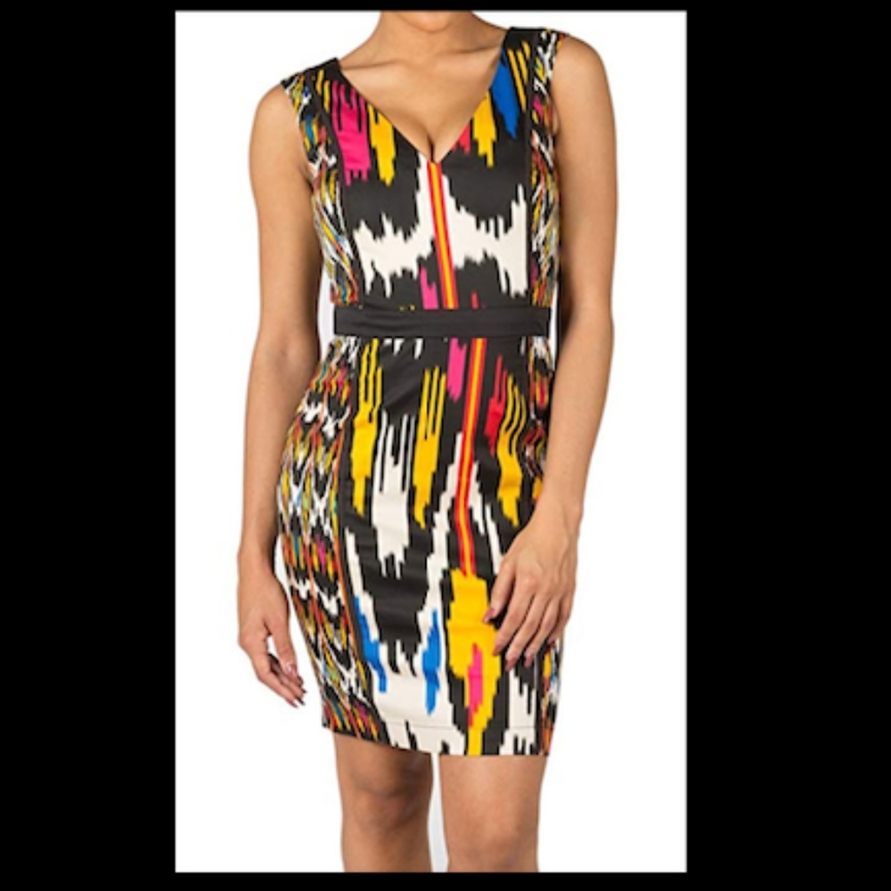 French Connection (Matos Striped Sleeveless Dress)